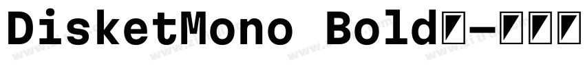DisketMono Bold◆字体转换